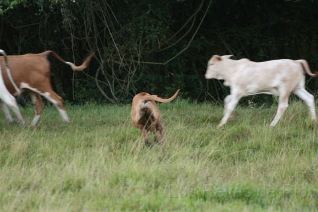Februar 2013 056.JPG